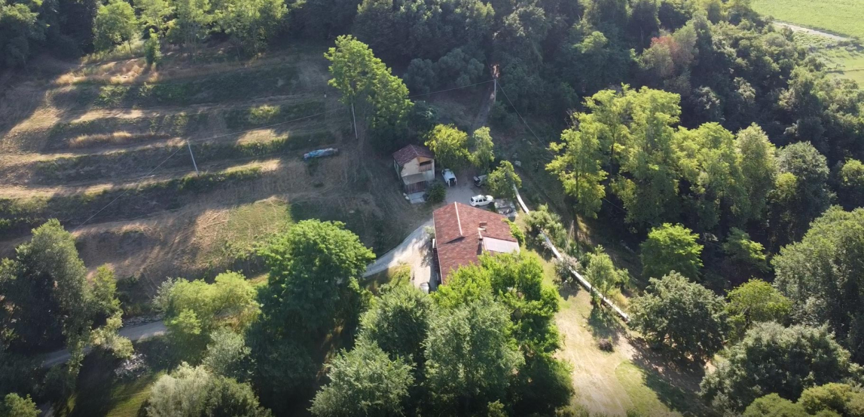 immagine di intro