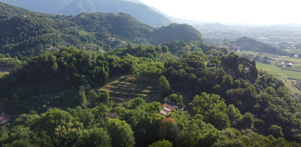 immagine di intro